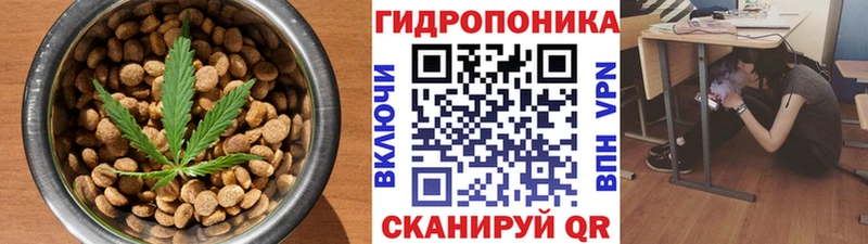 MEGA ССЫЛКА  где найти наркотики  Жуковка  Еда ТГК конопля 
