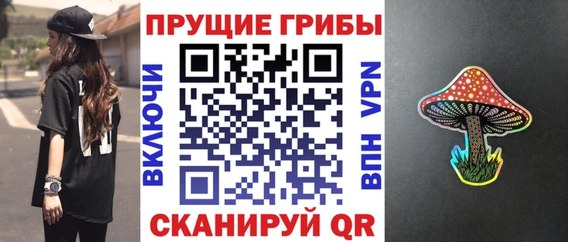 Псилоцибиновые грибы прущие грибы  продажа наркотиков  Жуковка 